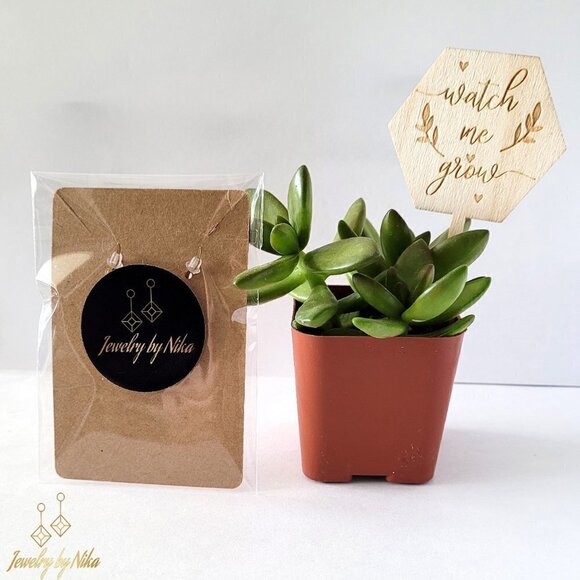 NEW 14K Gold Circle Of Life Round Dainty Minimalist Boho Luxury Earrings - Picture 4 of 6